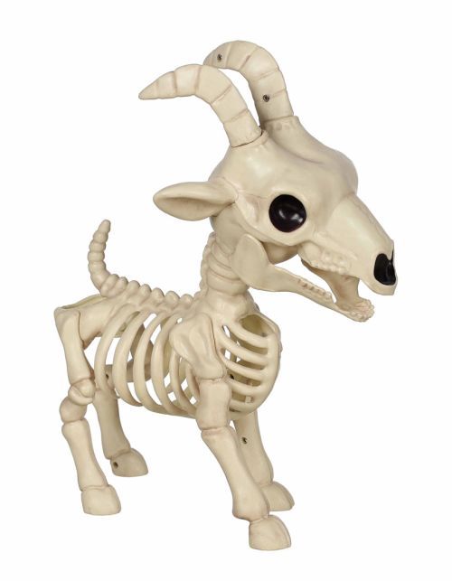 Skeleton Goat 11.5"