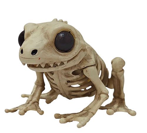 Cute Skeleton Frog 5 x 5 x 3