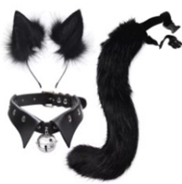 Black Cat Accessory Kit