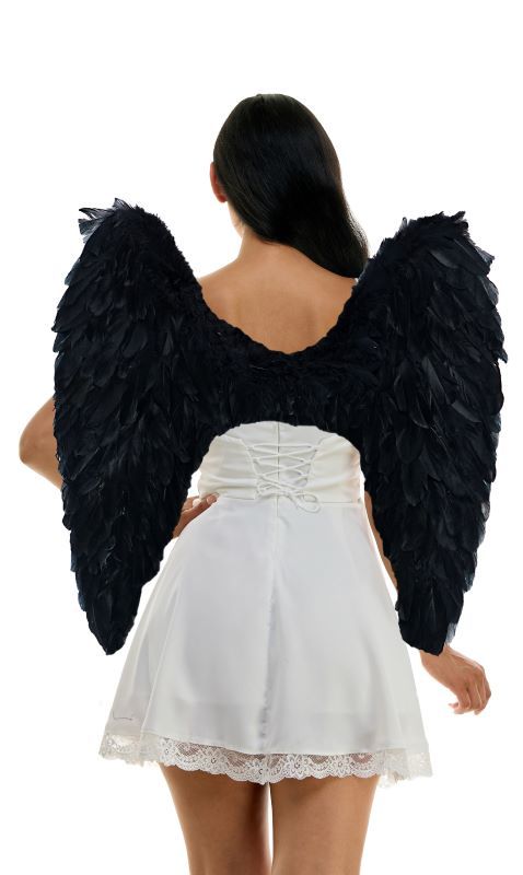 Black Feather Wings 26"