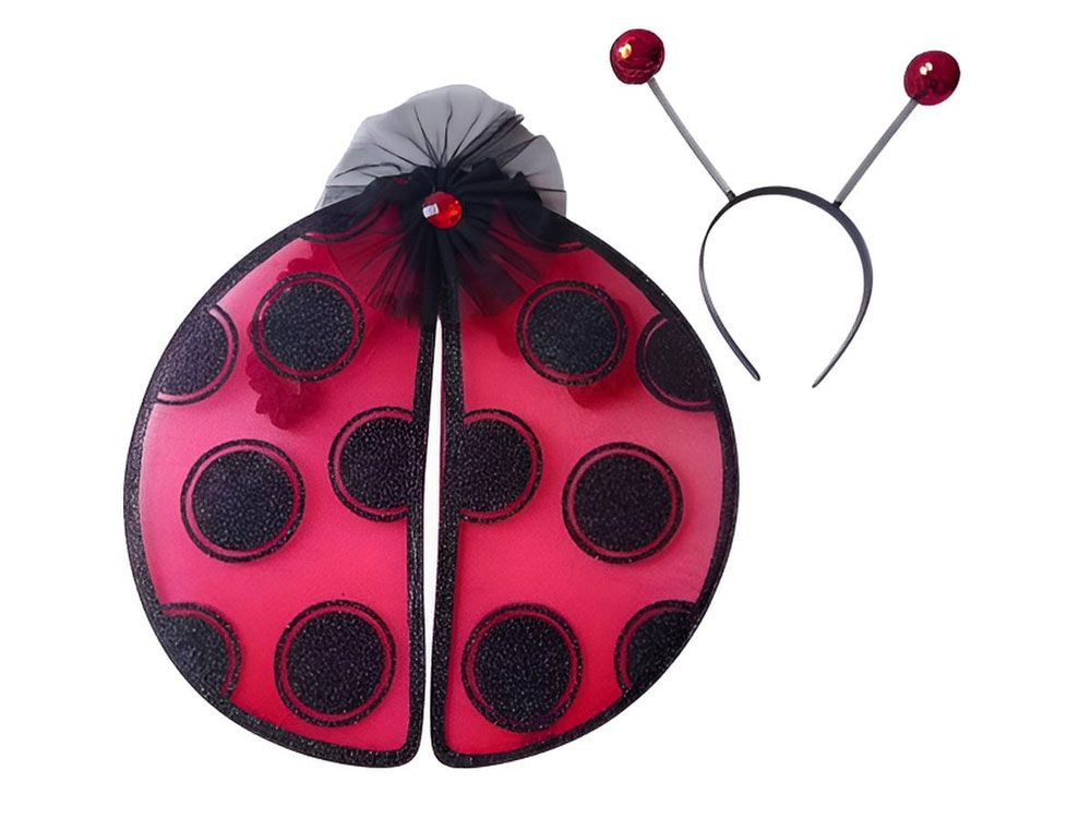 Lady Bug Kit