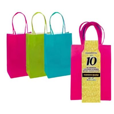 Gift Bags - Medium Multi Color 10 Ct