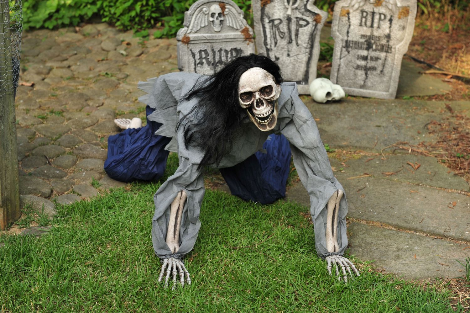Creeping Dead 5ft Posable Skeleton, Color: Black Hair