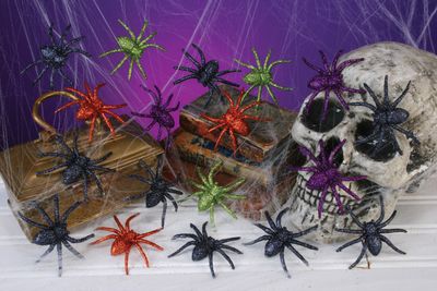 Glitter Spider 6ct - 
