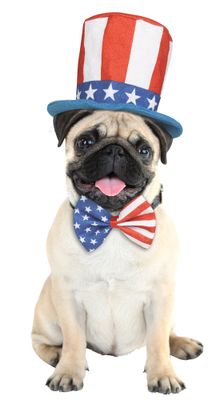 Uncle Sam  Pet Hat and Bow Tie