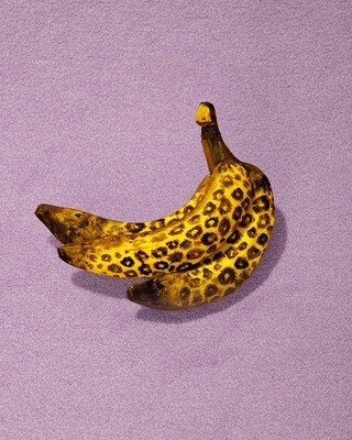 Bananas Fine Art Print 50x60