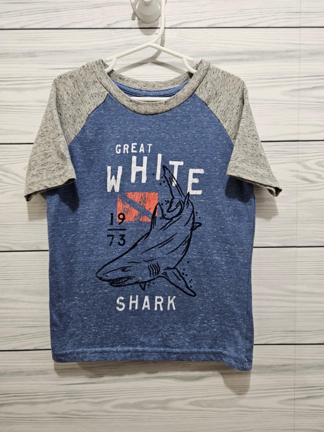 Boys Sonoma Shirt Sz 6