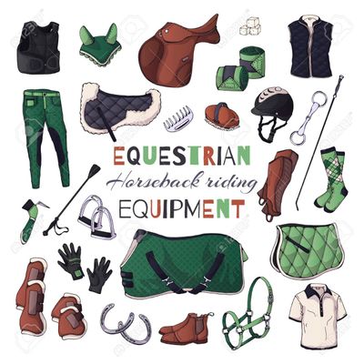 Equestrian/ horse items