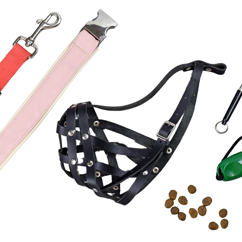 Accesorios y juguetes