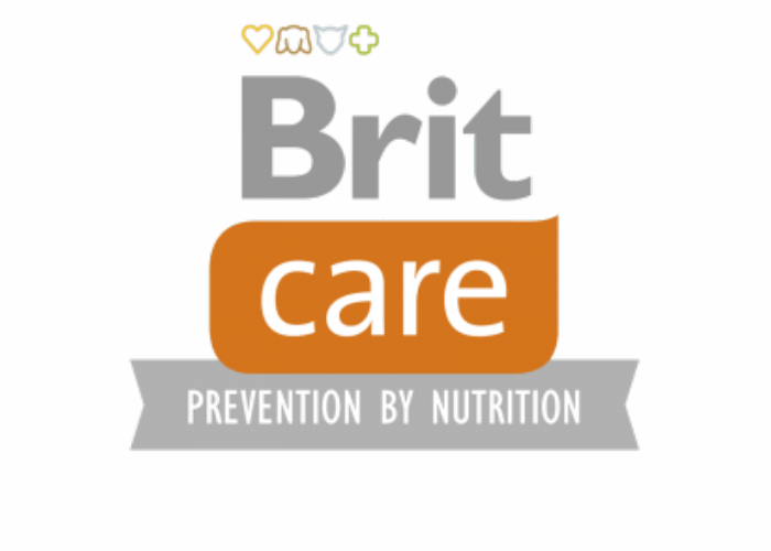 BRIT