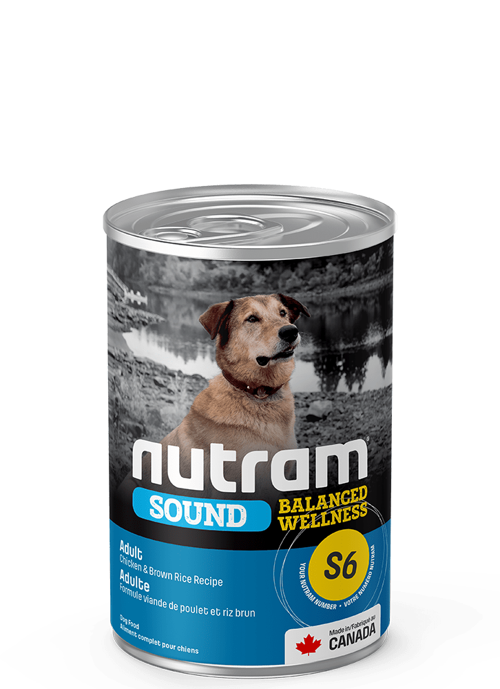 NUTRAM S6 ADULT LATA 369 GR