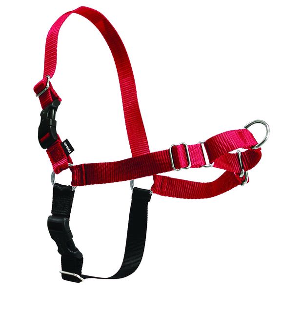 PETSAFE EASY WALK MEDIUM RED