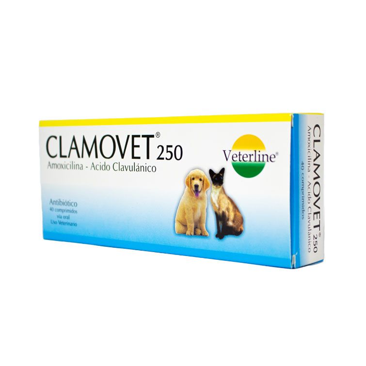 CLAMOVET 250 CAJA X 40 TAB