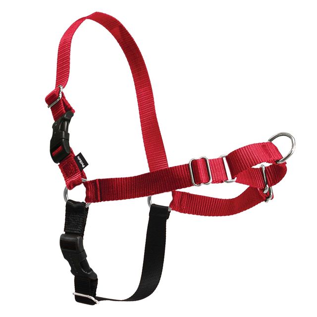 PETSAFE EASY WALK SMALL RED