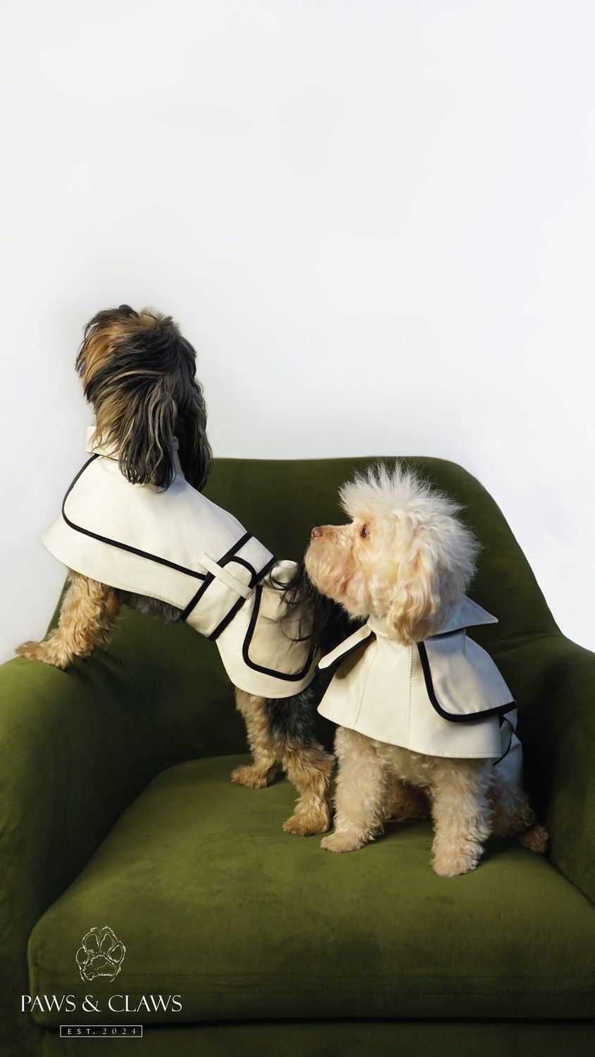 PAWS &amp; CLAUS ALICE COAT BEIGE T/3