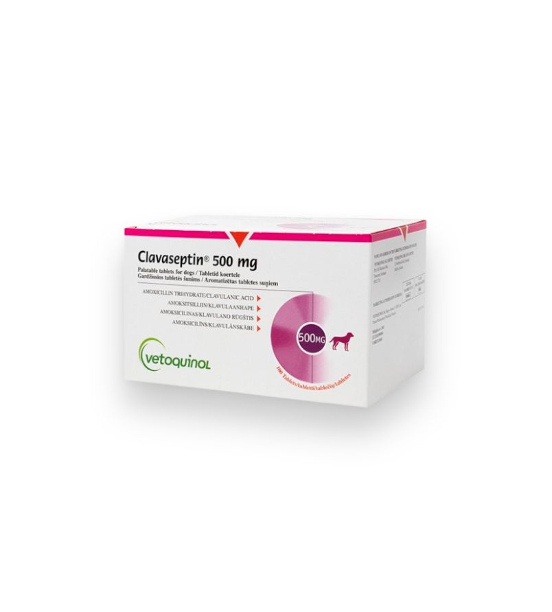 CLAVASEPTIN 500MG TAB