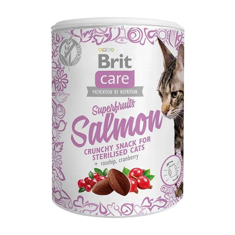 BRIT CARE CAT SNACK SUPERFRUITS SALMON 100 G