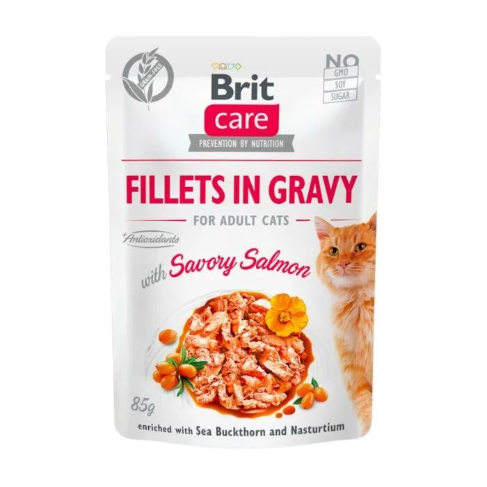BRIT CARE CAT FILLETS IN GRAVY WITH SAVORY SALMON 85GR