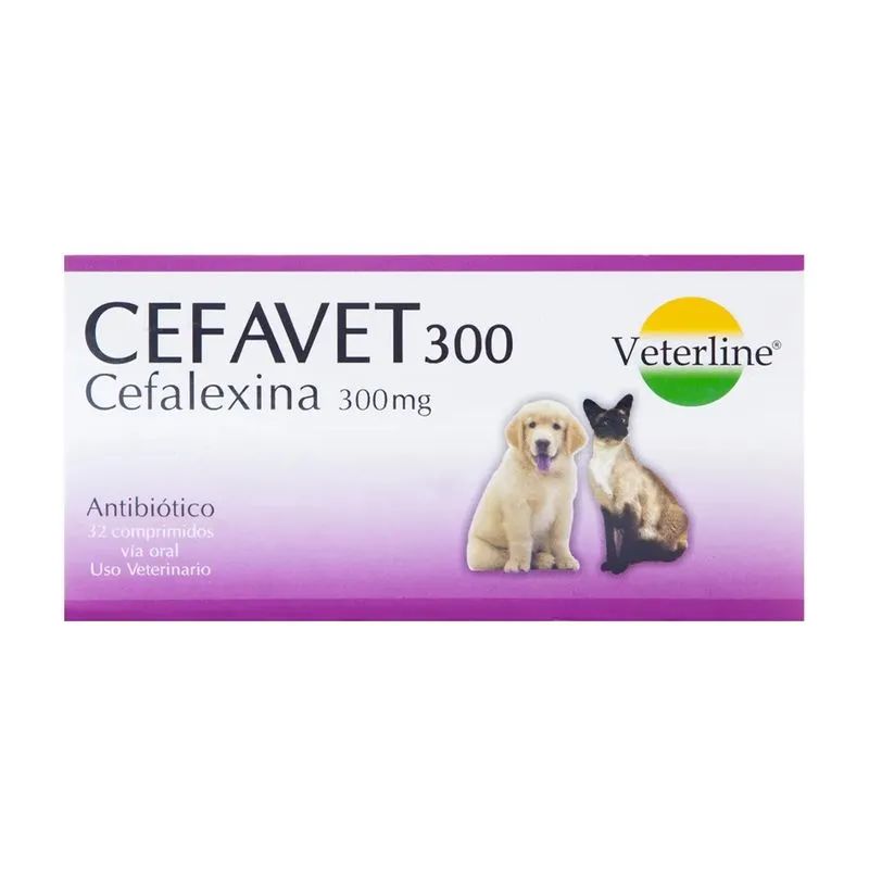 CEFAVET 300 X 32COMP