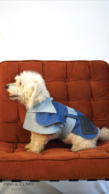 PAWS &amp; CLAUS ALBERTA COAT DENIM T/2
