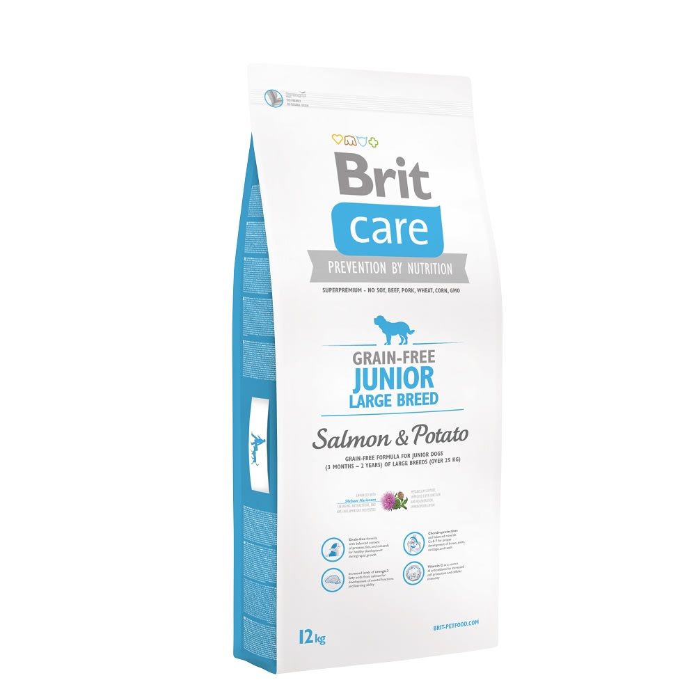 BRIT JUNIOR LARGE SALMON 12KG