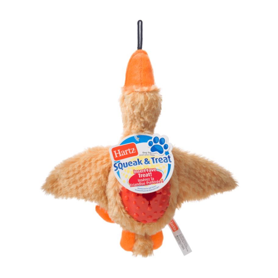 HARTZ SQUEAK &amp; TREAT DOG TOY