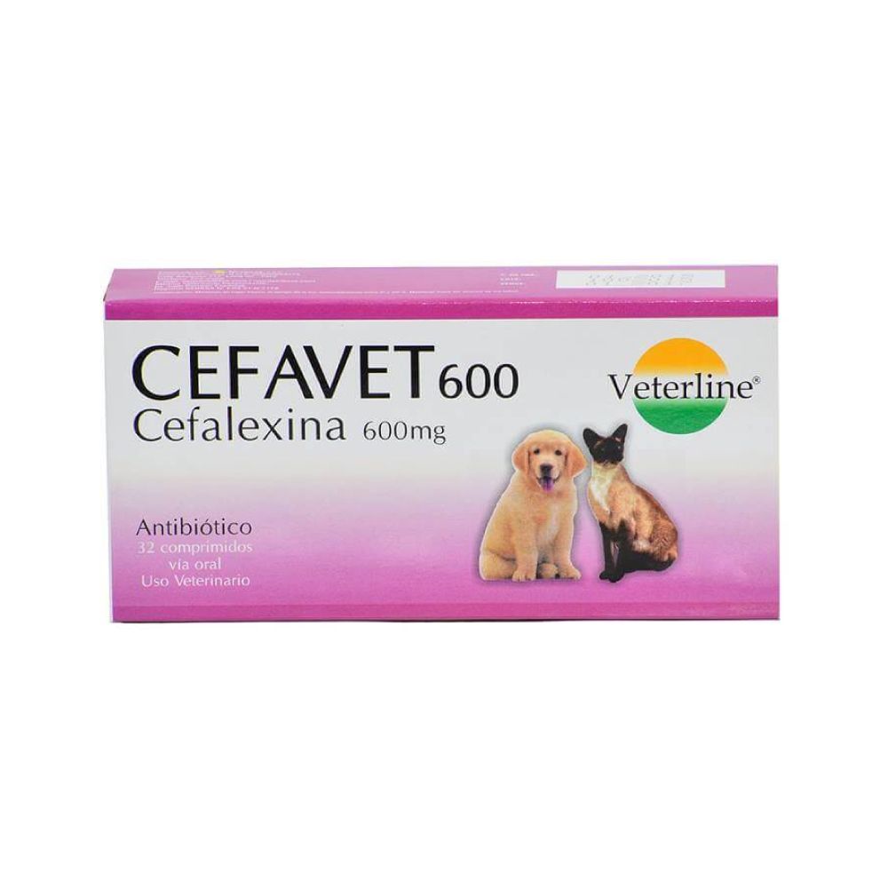 CEFAVET 600 X 32COMP