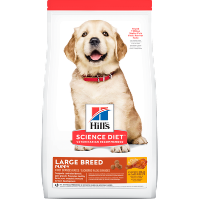 HILLS CAN PUPPY LARGE BREED 12.5 Kg