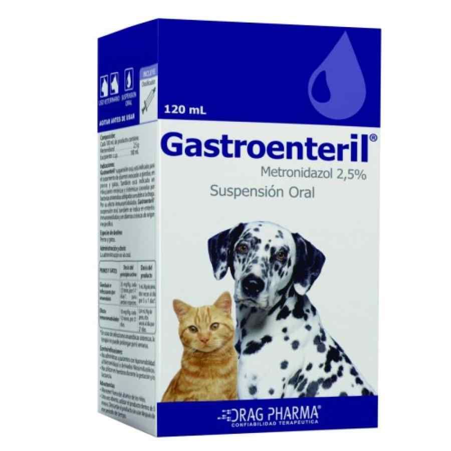GASTROENTERIL SUSP. ORAL 120ml