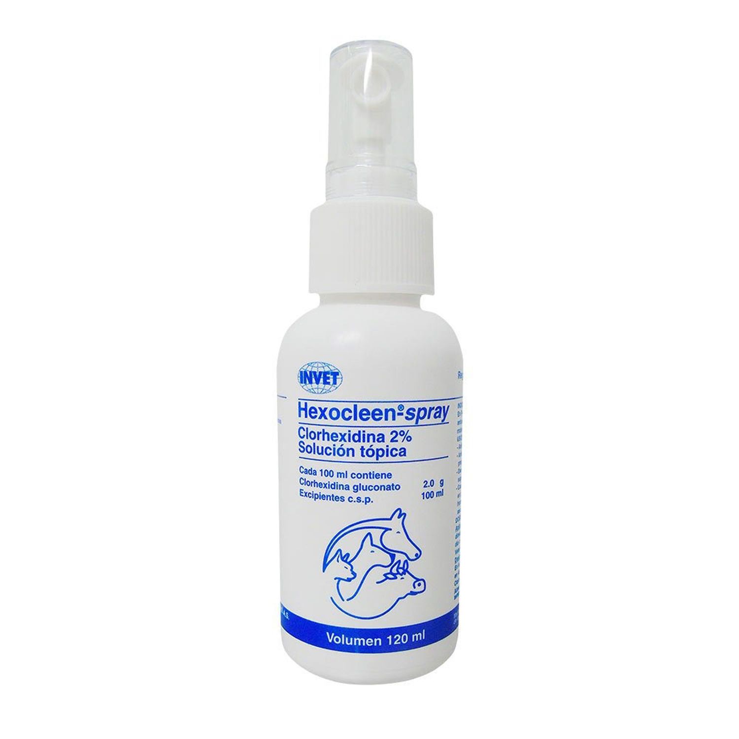 HEXOCLEEN SPRAY X 120ML