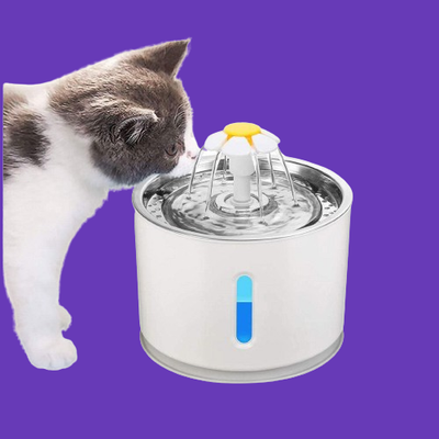 Fuente  de agua para gato