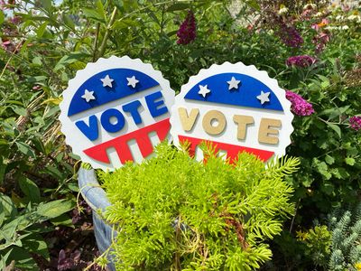 Promote The Vote