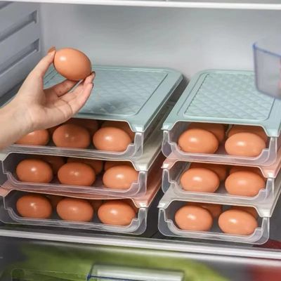 Egg Storage Container