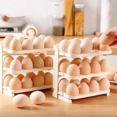 Egg Storage Shelf