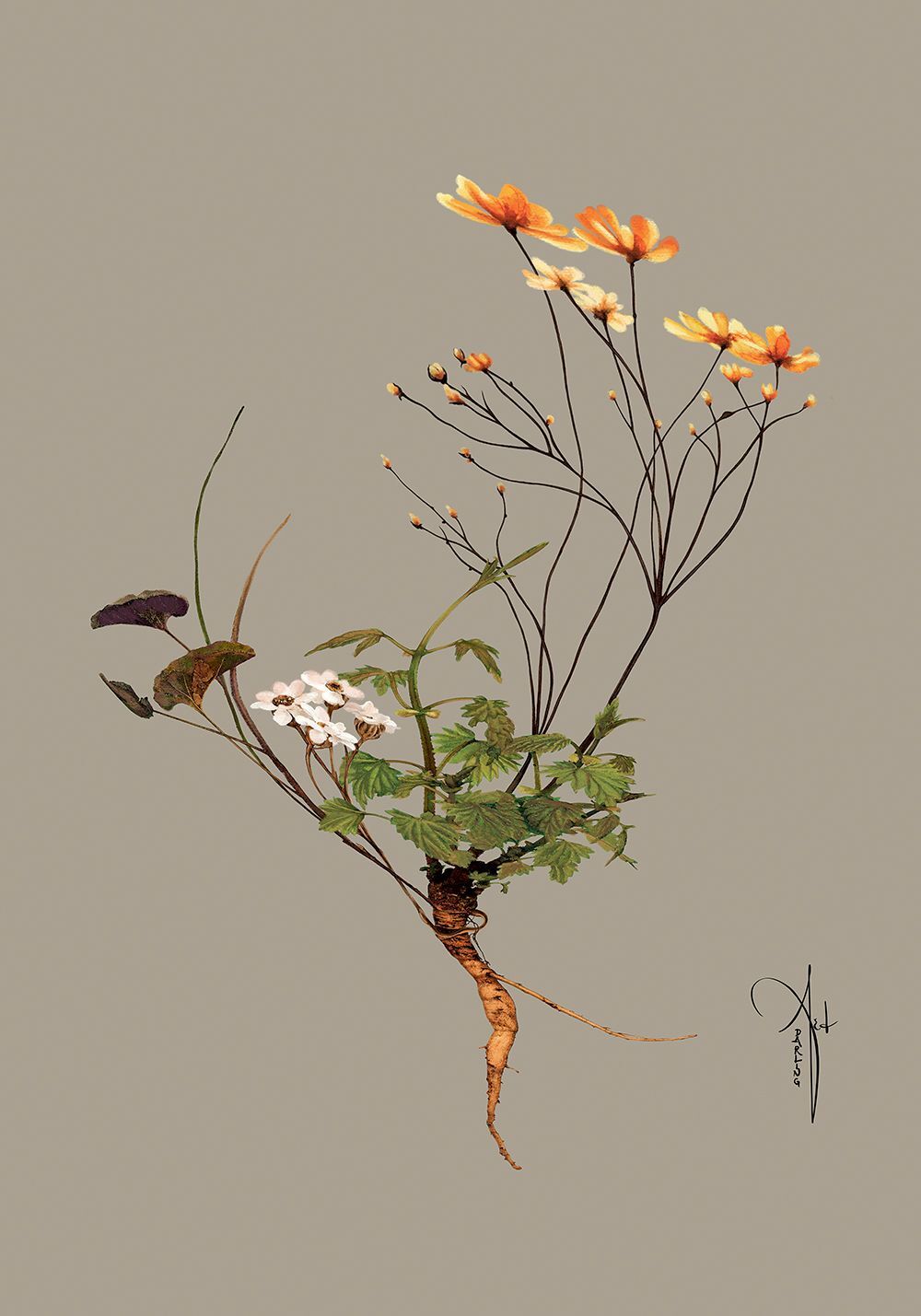 ARTHENTIC Acoustic picture 70 x 100 cm - BOTANICAL GREY II by Rikke Darling