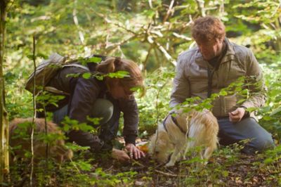 Sabine Hörnicke, Dr. Lothar Krieglsteiner und Tüffelhund Milly bergen eine Trüffel im Nationalpark Eifel.