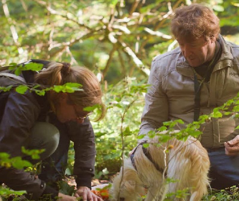 Trüffelsuche F2 - 04/05 Juli 2026 - Trüffel im Sommer