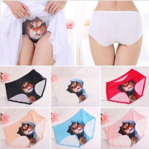 6 pack - 3D Kitty Briefs - No Trace Seamless Control Briefs