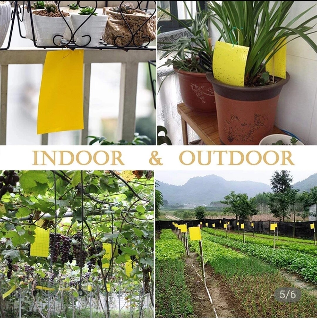 20 pcs Dual Sided Safe Non-Toxic Yellow &amp; Blue Sticky Insect Trap