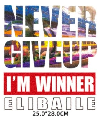 Washable T-shirt Iron-on Transfers - Never Give Up I&#39;m Winner
