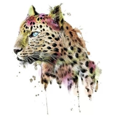 Washable T-shirt Iron-on Transfers - Cheetah