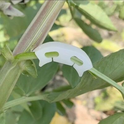 100 Reusable plastic plant bender clips + Gift
