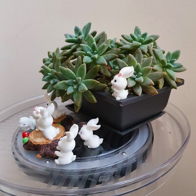 Set of 7 White Bunny Rabbit Figurines for Pot Terrarium Decor Ornaments