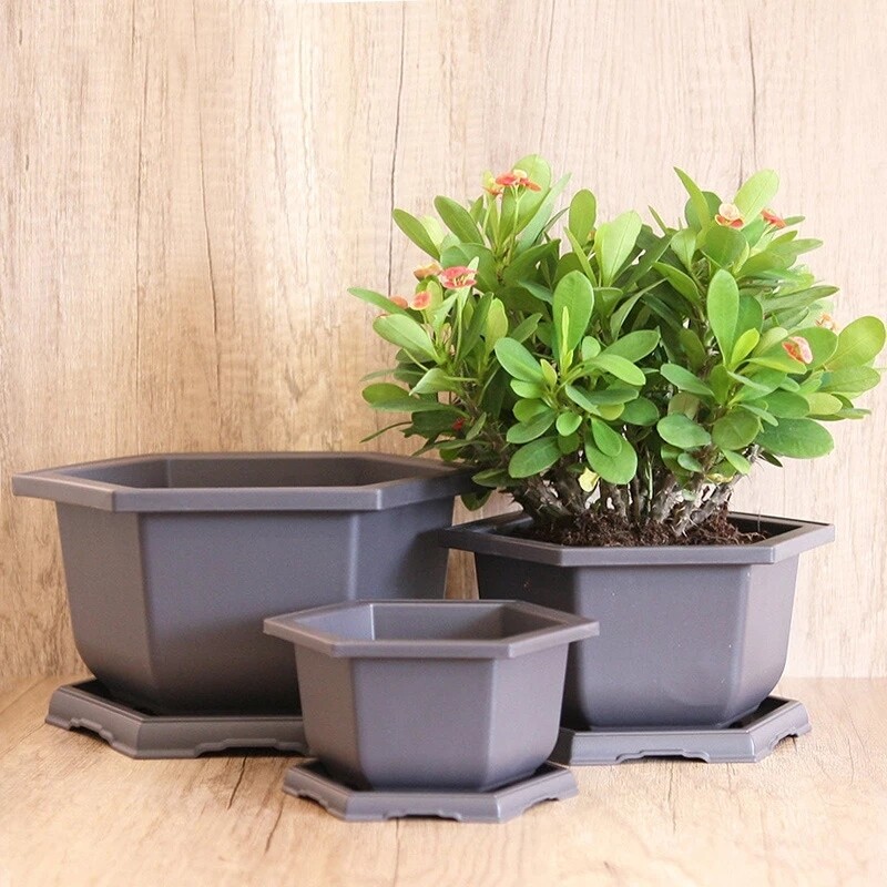 Hexagonal Solid Durable Heavy Duty Premium Bonsai Pot/Tray