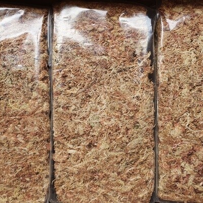 Premium Grade Spaghnum Moss - 150g/500g