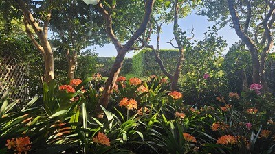 Gardens and Plants