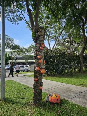 Tree makeover