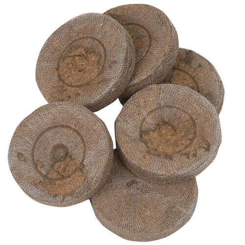 24 x Jiffy-7® 42mm Pellets: The Natural Choice for Seed Germination