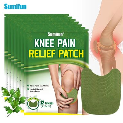 24 Pcs Herbal Natural Ingredient Knee Pain Relief Patch