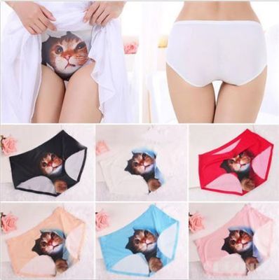 6 pack - 3D Kitty Briefs - No Trace Seamless Control Briefs